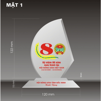 Kỷ niệm chương - Hình cánh buồm