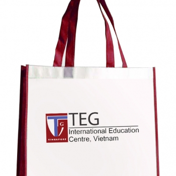 Túi vải không dệt